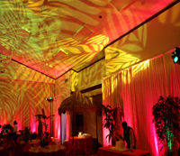 Tropical Wedding- 1
